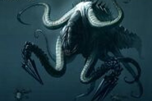 Kraken whitenet market зеркало