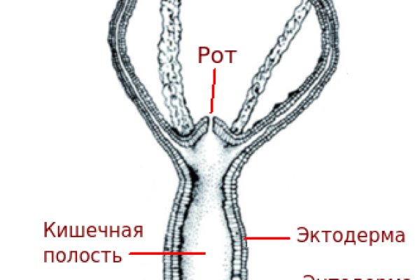 Дарк нет кракен