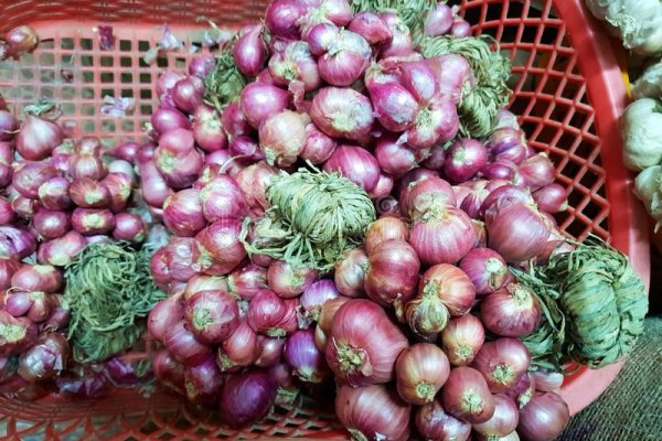 Ссылка кракен не работает