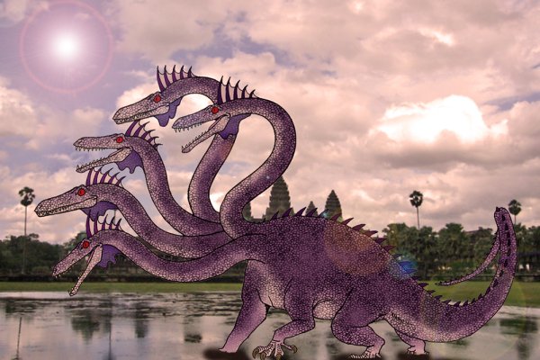 Kraken site