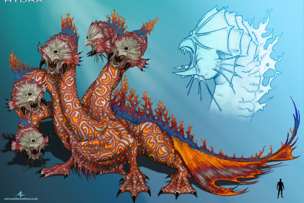 2kr kraken