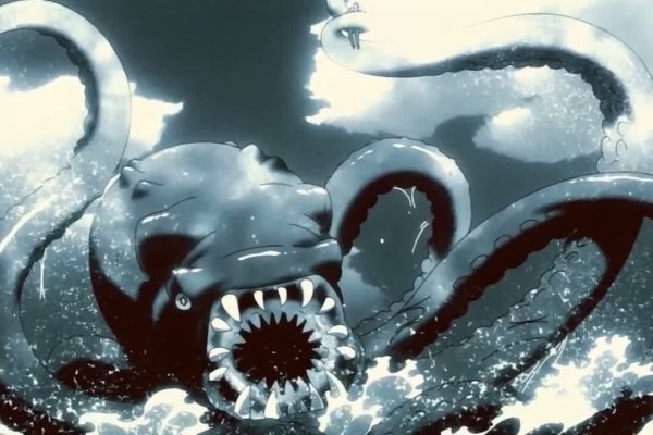 Kraken whitenet kraken whitenet 2n com