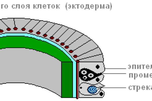 Solaris darkmarket