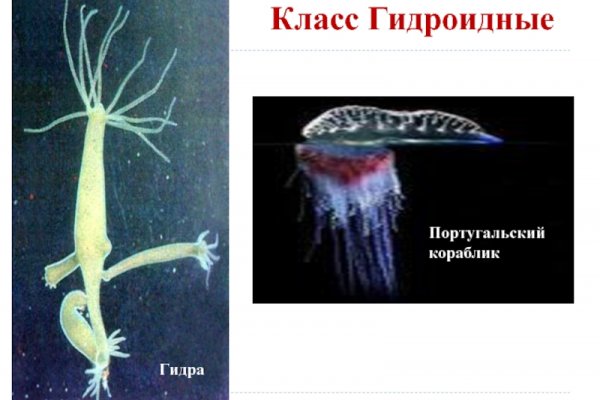 Кракен ссылка оригинал