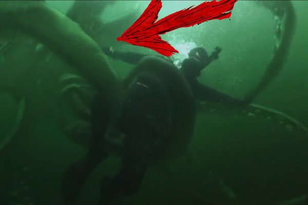 Kraken супернет что это