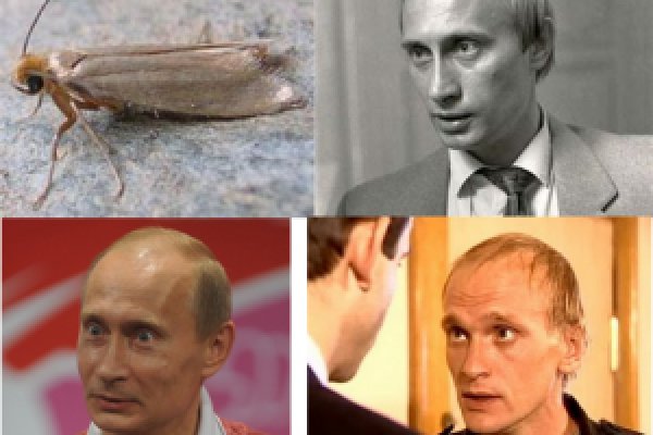 Войти супернет