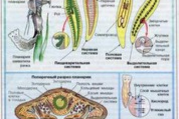 Онлайн магазин наркотиков