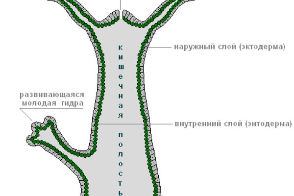 Kraken whitenet ссылка