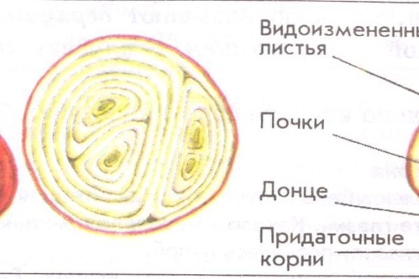 Ссылка на кракен супернет